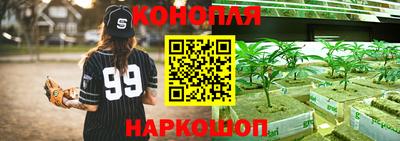 герыч Будённовск
