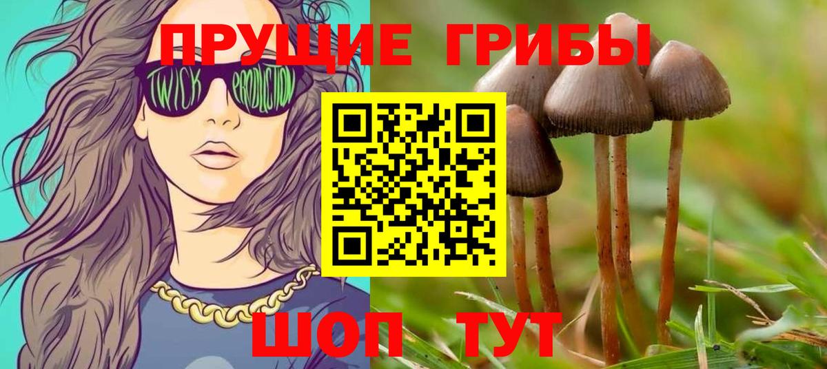 Шахты  Псилоцибиновые грибы мухоморы  Вход с VPN  Галлюциногенные грибы GOLDEN TEACHER 